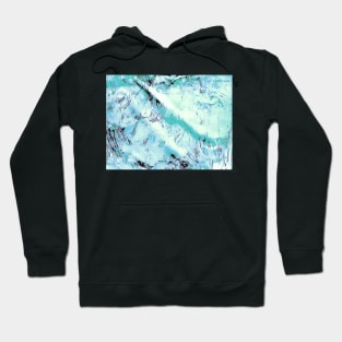 Frozen Frost Hoodie